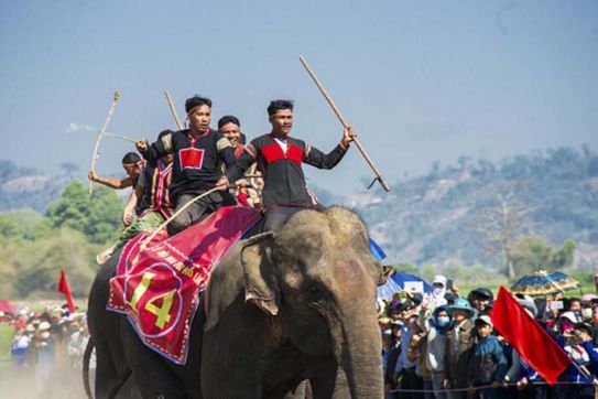 Elephant racing festival: Unique cultural feature of the Central Highlands people
