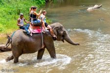 Encantadora Tailandia
