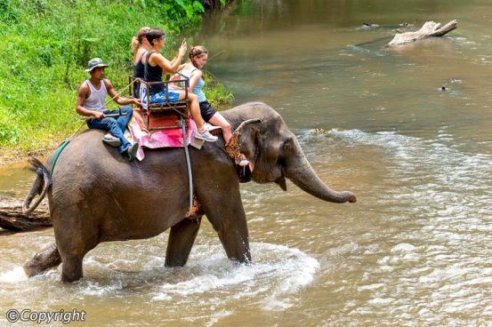 Un sabor de Tailandia