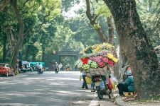 Vietnam Esencial
