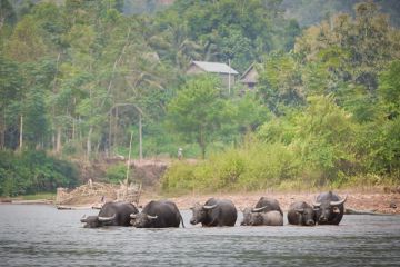 Northern Laos Revealed 5 Days / 4 Nights