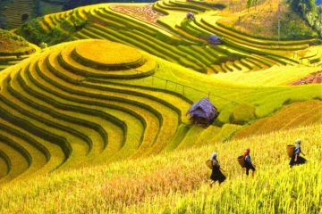 The Roof of Vietnam, Ha Giang and The Far North 6 Days / 5 Nights