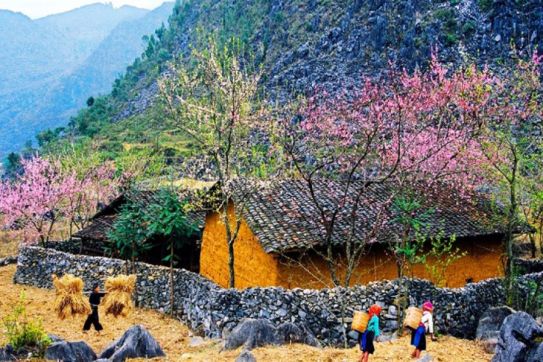 Top Destinations in Vietnam Loved by International Travelers