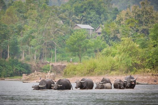 Northern Laos Revealed 5 Days / 4 Nights