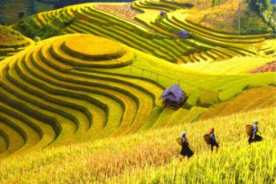 The Roof of Vietnam, Ha Giang and The Far North 6 Days / 5 Nights