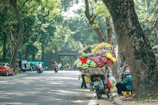Vietnam Esencial