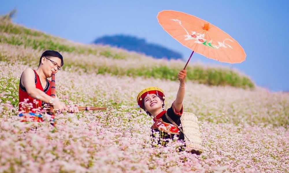 ha-giang-buckwheat-flower-season