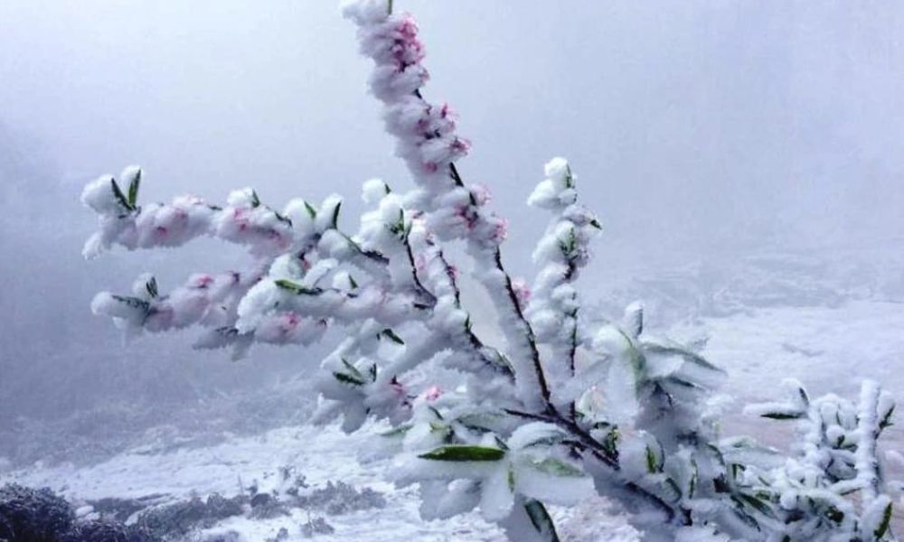 northern-vietnam-winter-snow-cloud-hunting-guide
