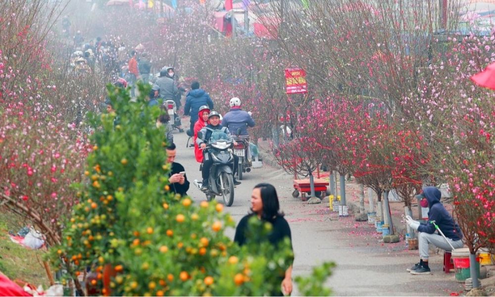hanoi-lunar-new-year-open-stores-attractions